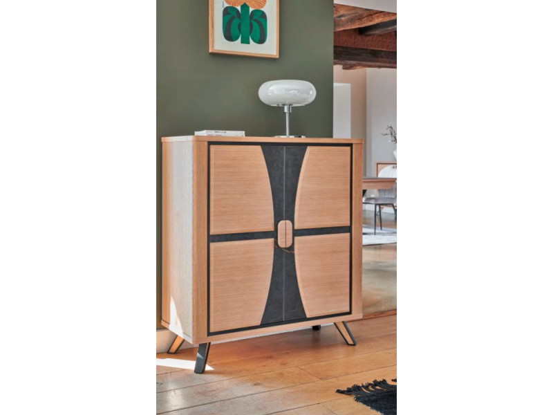OMEGA-Bibus 2 portes