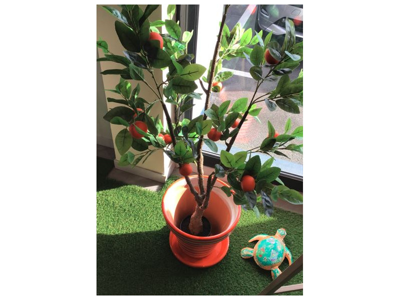 NIXIE-Tortue de décoration multicouleur