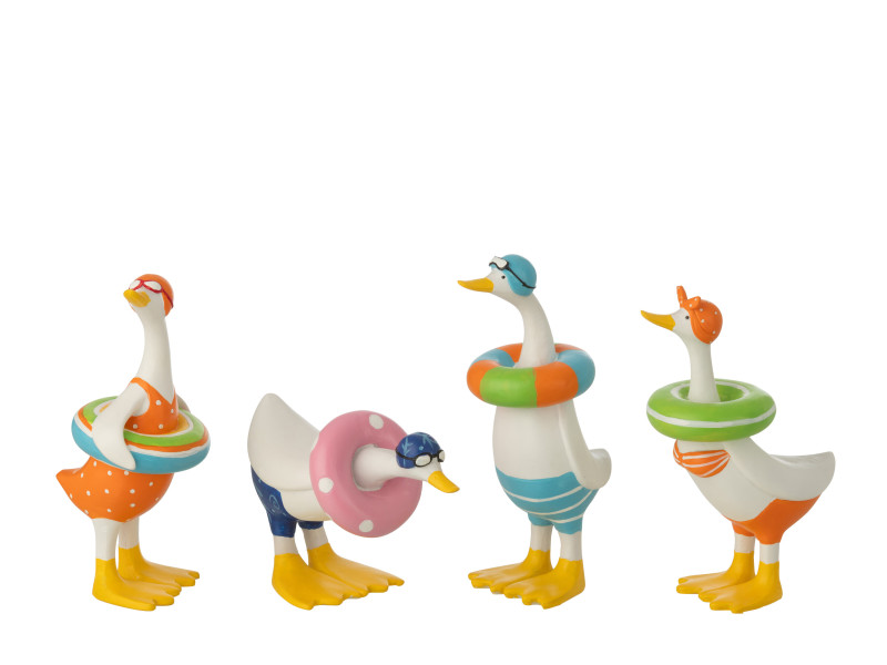 CANARD-Set de 4