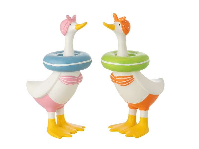 CANARD-Set de 2