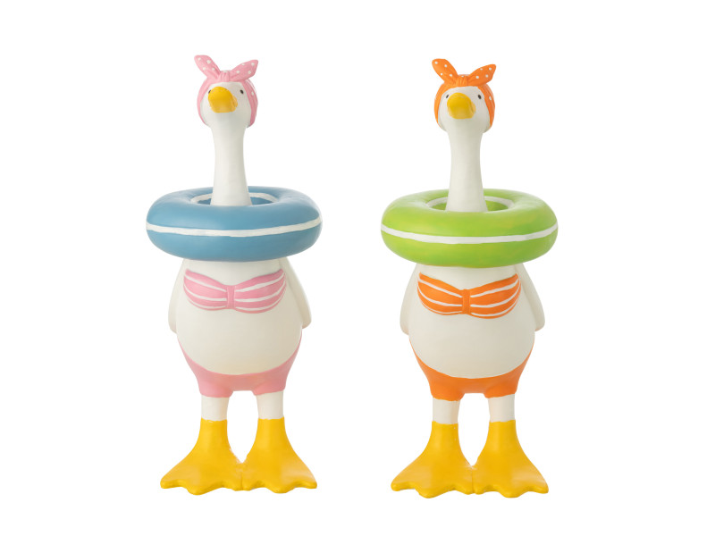 CANARD-Set de 2