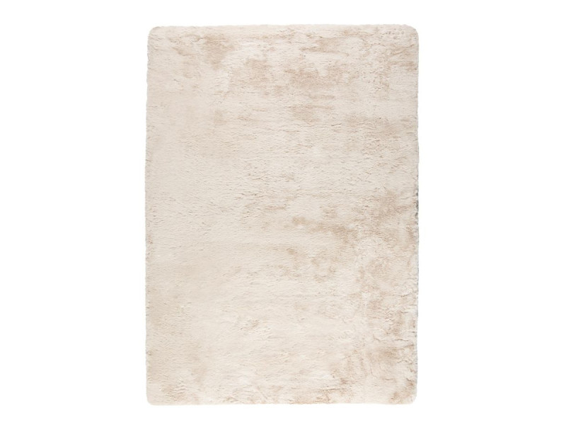 EDDY-Tapis