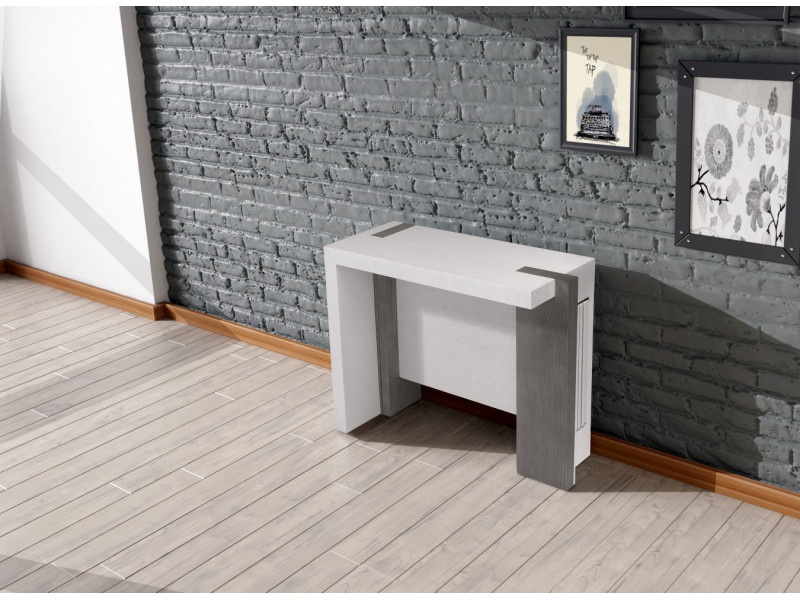 ARCHE-Console extensible