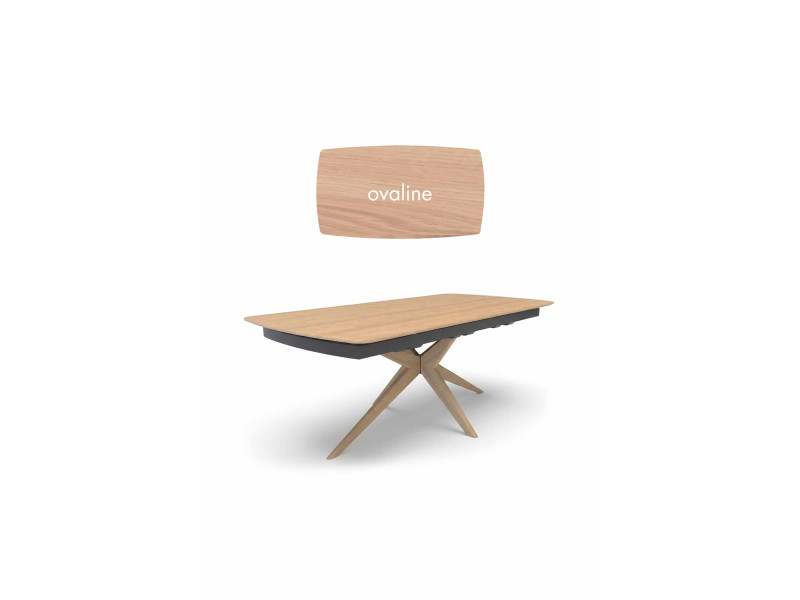 CONCEPT TABLE A LA CARTE-Designer...