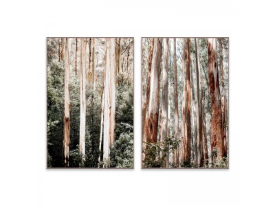 ARBRES-Photographie d'art...