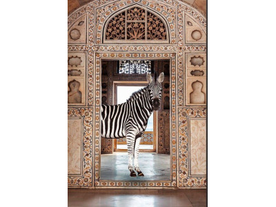 ZEBRE-Impression sur verre 2
