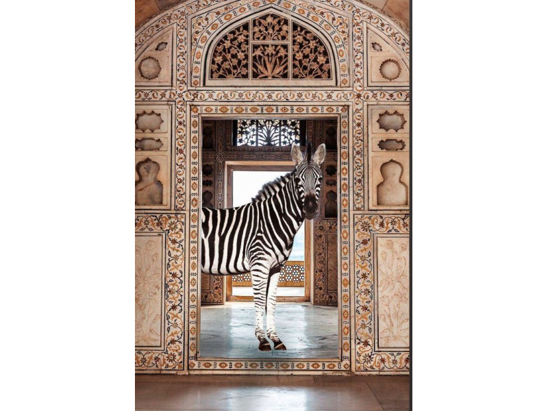 ZEBRE-Impression sur verre