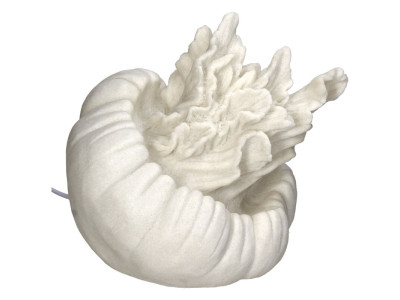 LAMPE-Inspiration coquillage