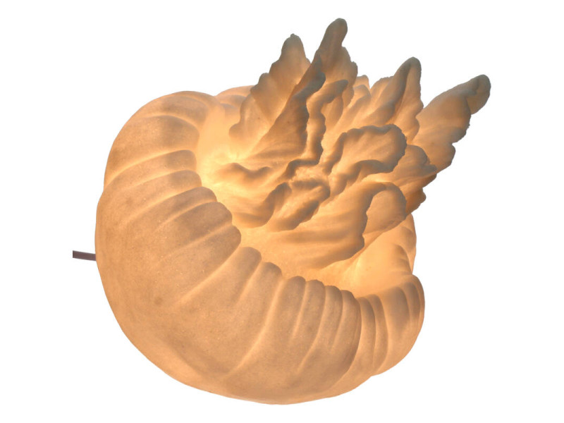 LAMPE-Inspiration coquillage