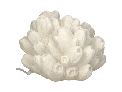 LAMPE-Inspiration coquillage 2
