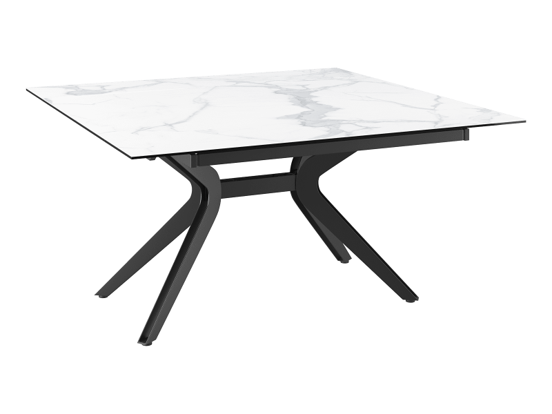 FASCINATION-Table rectangle qui se...