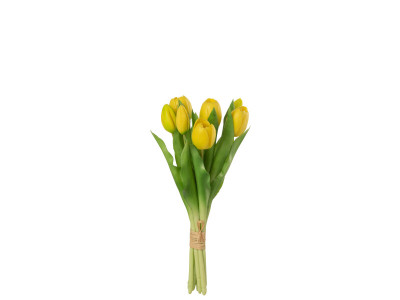 TULIPE -Bouquet de 7 pièces