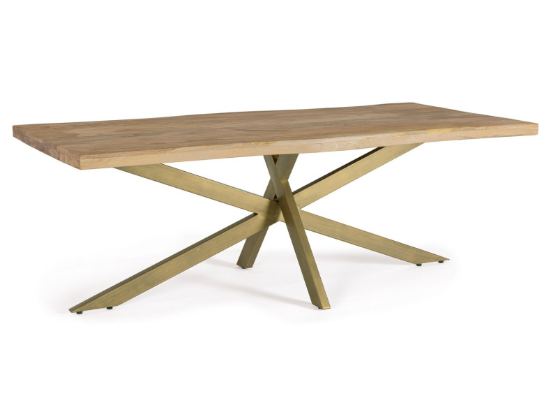 JAIDEV-Table rectangle fixe plateau...