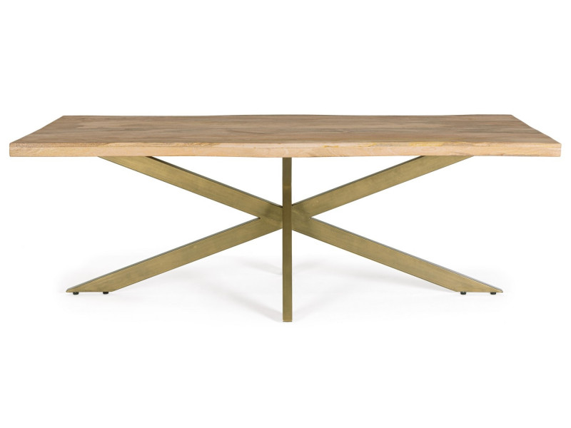 JAIDEV-Table rectangle fixe plateau...