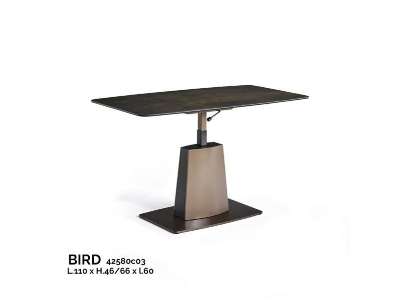 BIRD-Table plateau relevable